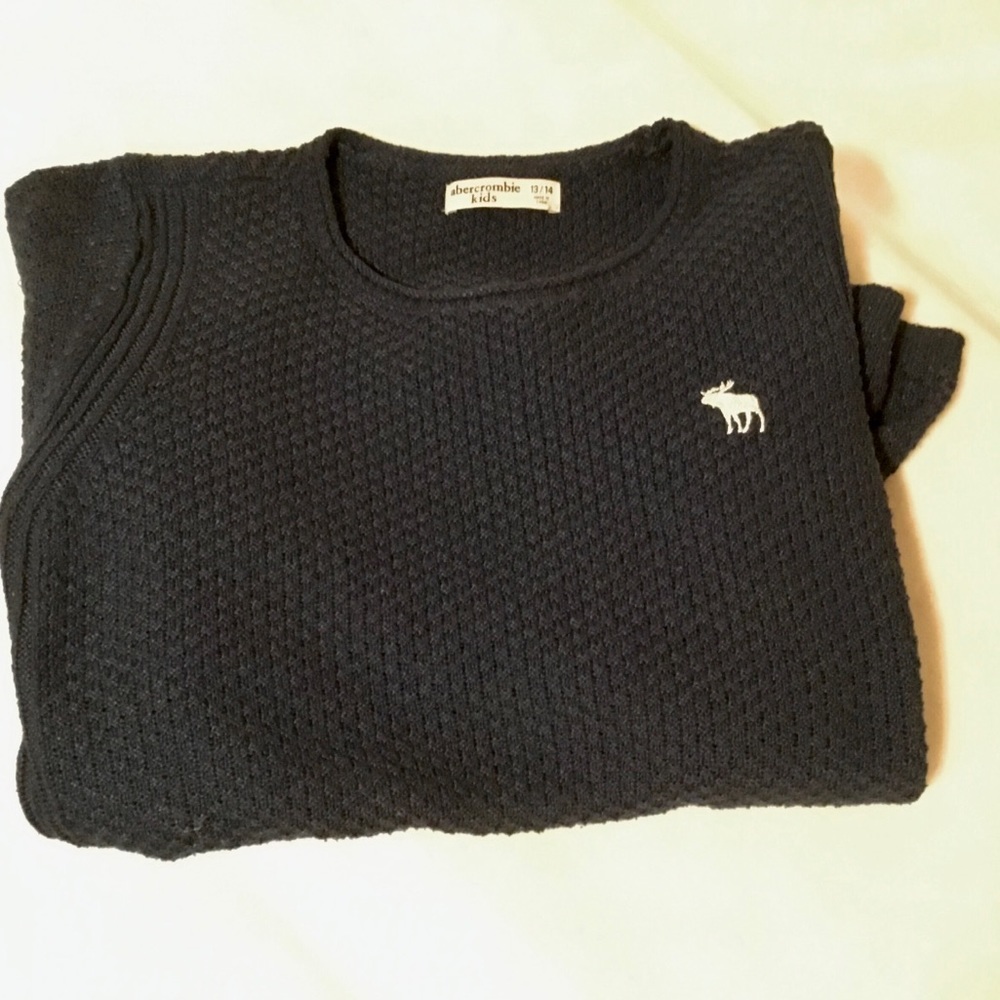 Abercrombie Kids Sweater 13/14 Blue/Silver Moose. 🌟🌟🌟HOST PICK 🌟🌟🌟